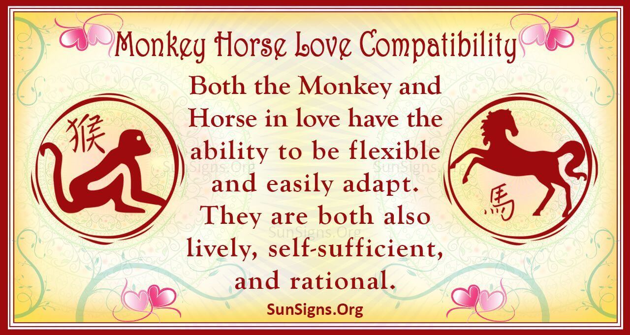 Monkey Horse Compatibility: Are They a Good Match?