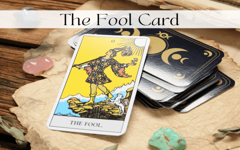 The Moon Reversed Advice: Is Your Intuition Lying to You (Learn What It Really Means)