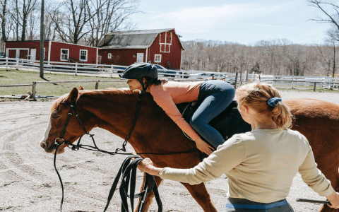 Improve Horse and Rat Relationship: Simple Steps for a Peaceful Barn