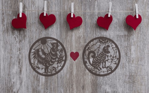 Rooster Dog Compatibility: Will these two zodiac signs get along well in love and life?
