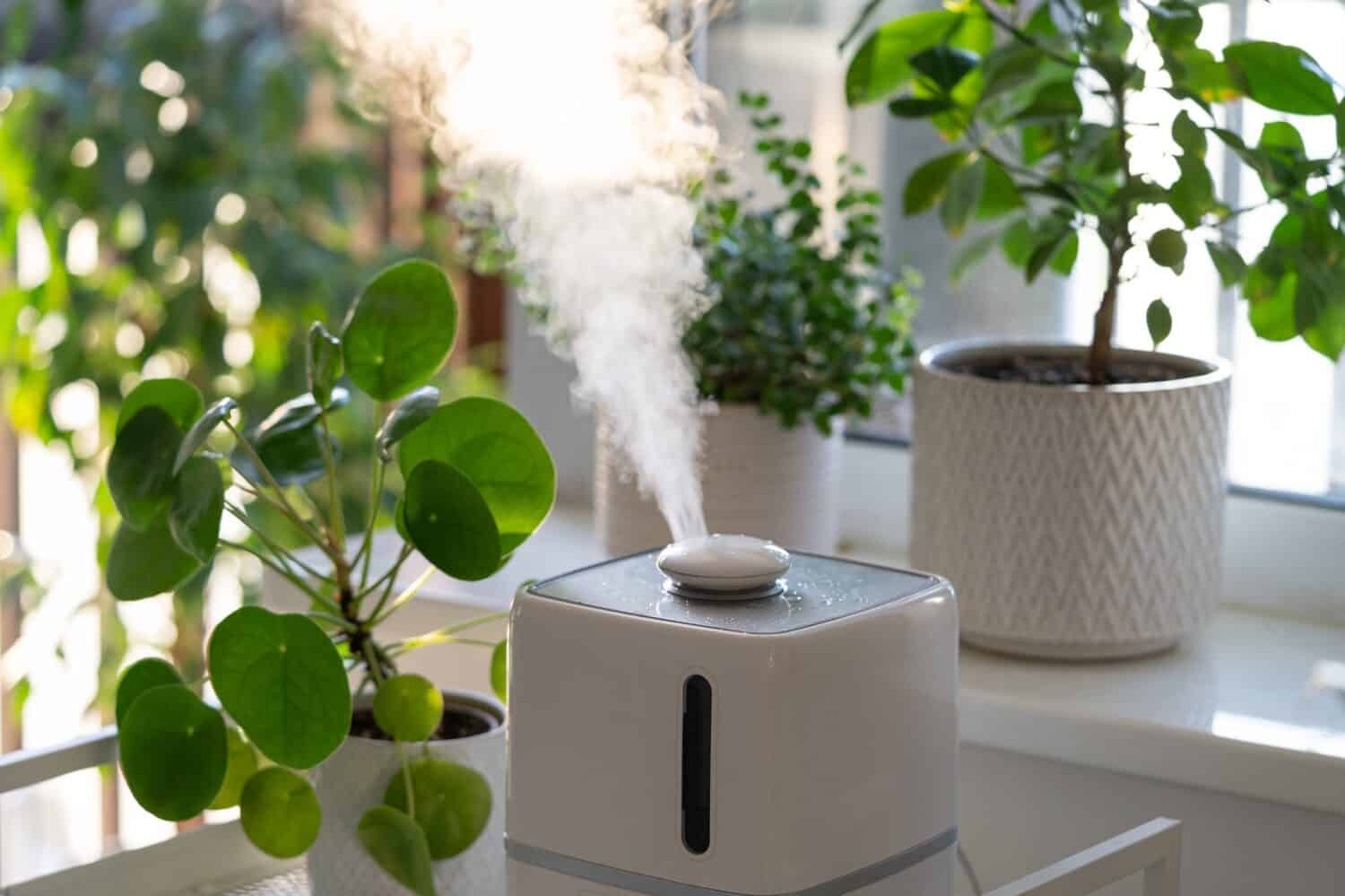 How to add humidity to a room (Discover these super easy ways for quick home comfort)
