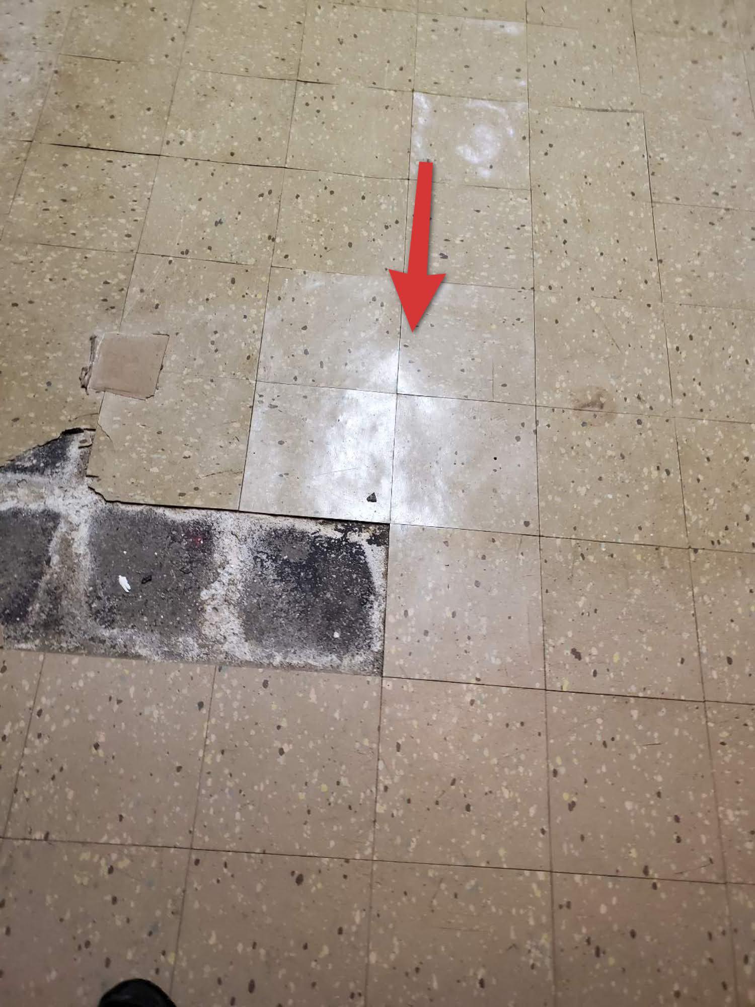 What are your best options for asbestos tiles in basement? We explain both removal and covering solutions.