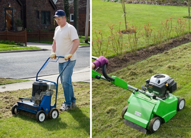 Power rake vs dethatcher: A simple breakdown of these tools. (Find out which machine will truly revive your lawn)