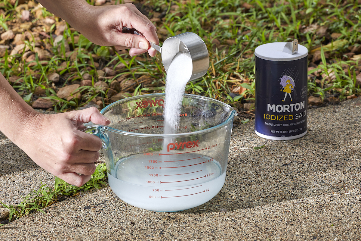 Why rock salt kills weeds so well? Understand the science and try this easy garden guide.