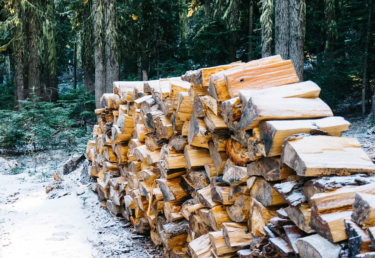 Fir vs Pine Firewood: Which is Better for Your Fire? Easy Tips to Help You Choose.