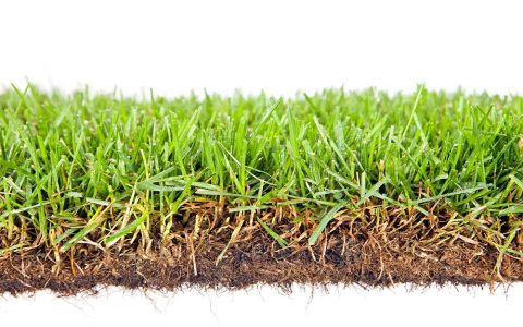 Power rake vs dethatcher: A simple breakdown of these tools. (Find out which machine will truly revive your lawn)