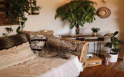 How to add humidity to a room (Discover these super easy ways for quick home comfort)