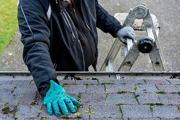 Learn how to remove moss from shingles on a roof: Follow our 5 step-by-step instructions.