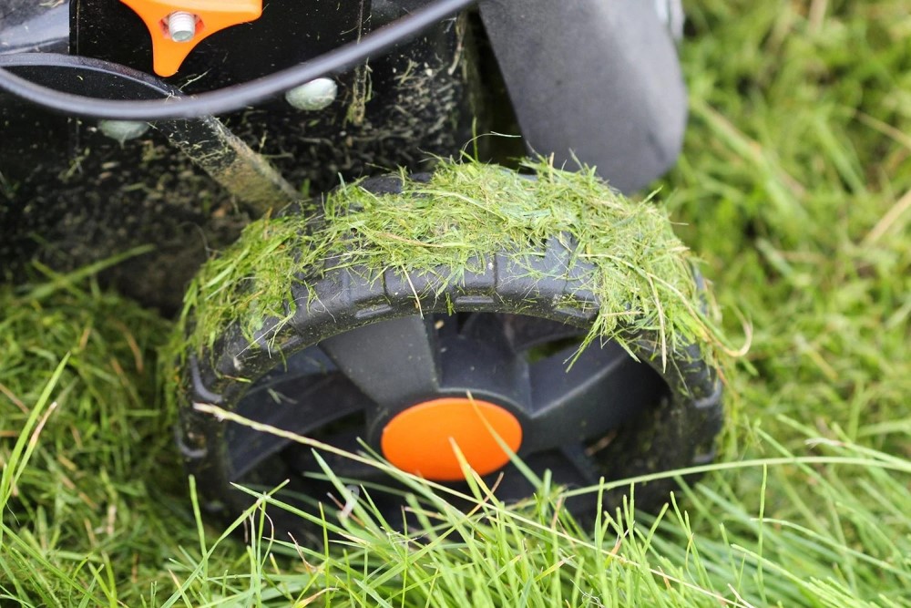 Wondering if can you cut the grass after it rains? Heres how to decide easily.