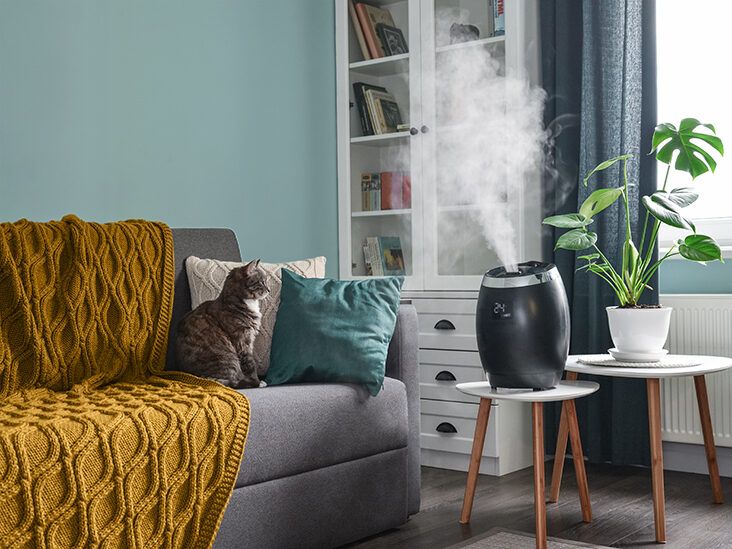 Want to know how to add moisture to a room? Discover 4 natural ways to do it today.