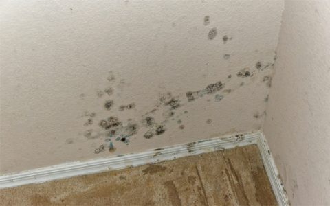 Worried about signs of water damage under floor? Here is what to look for and what to do.