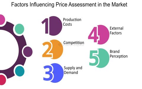 Why does the cost of perc test vary so much? Learn the main factors affecting the price.