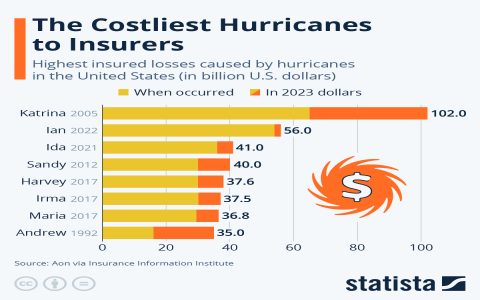 What goes into the total hurricane impact windows cost? (Understand all the expenses involved now)