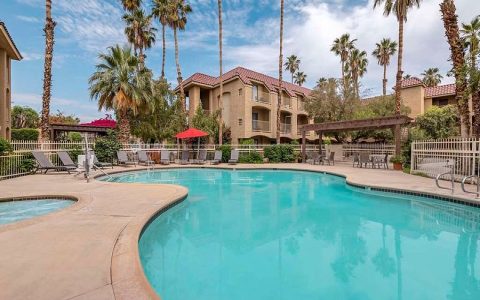 Palm removal cost made easy (Know exactly what you should plan to spend on it)