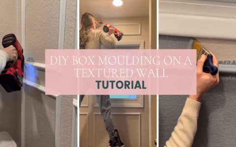 Learn about different kinds of wall texture: create amazing looking walls without a big cost.