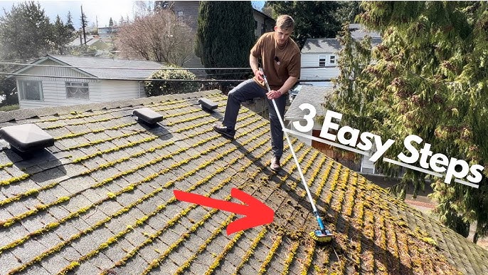 Can you clean moss on roof yourself effectively? (A handy guide for easy DIY removal)