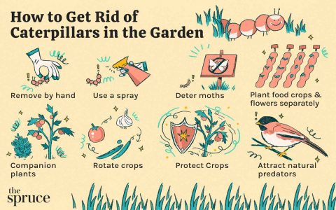 Stop black bugs bathroom from ever returning! (Proven prevention tips for a truly clean home)