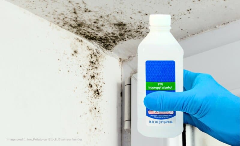 Does isopropyl alcohol kill mold? We explain if its the right choice for your mold problem.