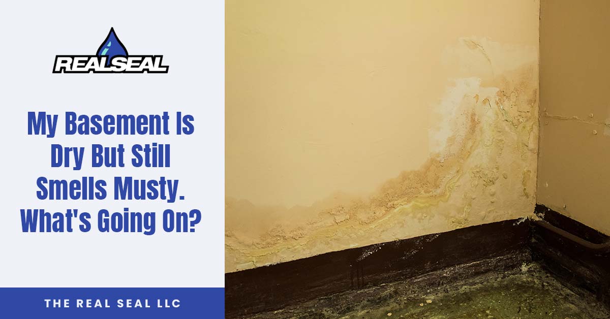 My basement is dry but still smells musty, is there a simple solution to this problem?