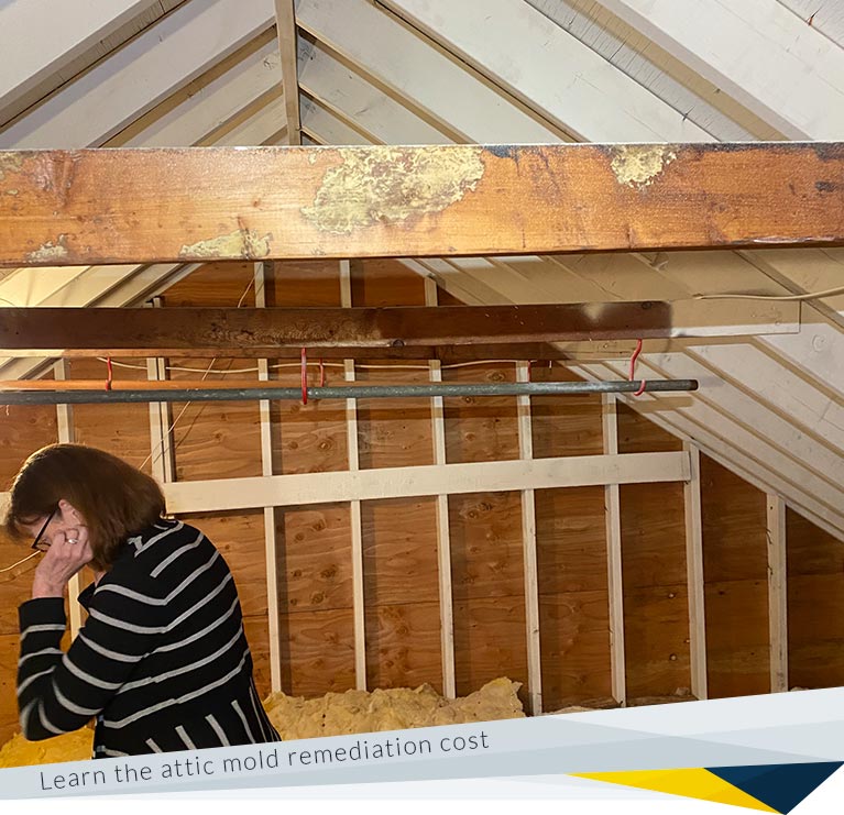 Whats the typical attic mold remediation cost? (Get a clear breakdown before you hire anyone)
