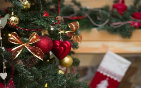 What are the real effects of adding aspirin in a christmas tree? Learn how it might benefit your holiday fir.