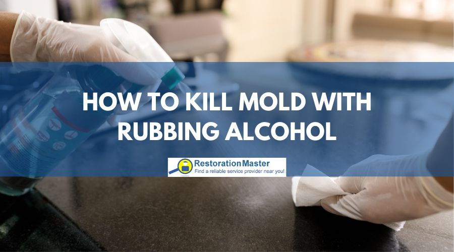 How to Kill Mold: Does Alcohol Do the Trick?