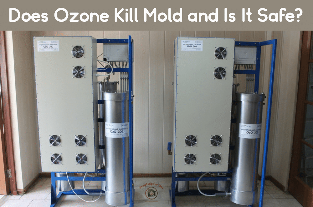 How exactly does ozone kill mold in your house? A simple, easy guide to this powerful cleaning method.