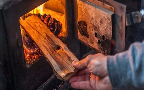 Fir vs Pine Firewood: Which is Better for Your Fire? Easy Tips to Help You Choose.