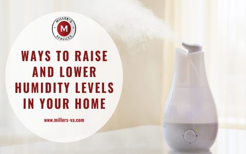 Is your house air too dry? Learn how to increase humidity in house with these easy methods.