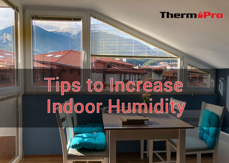 Want to learn how to raise humidity in a room? Here are 5 effective methods to try now.